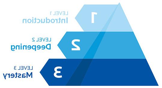 经验等级金字塔显示三个等级