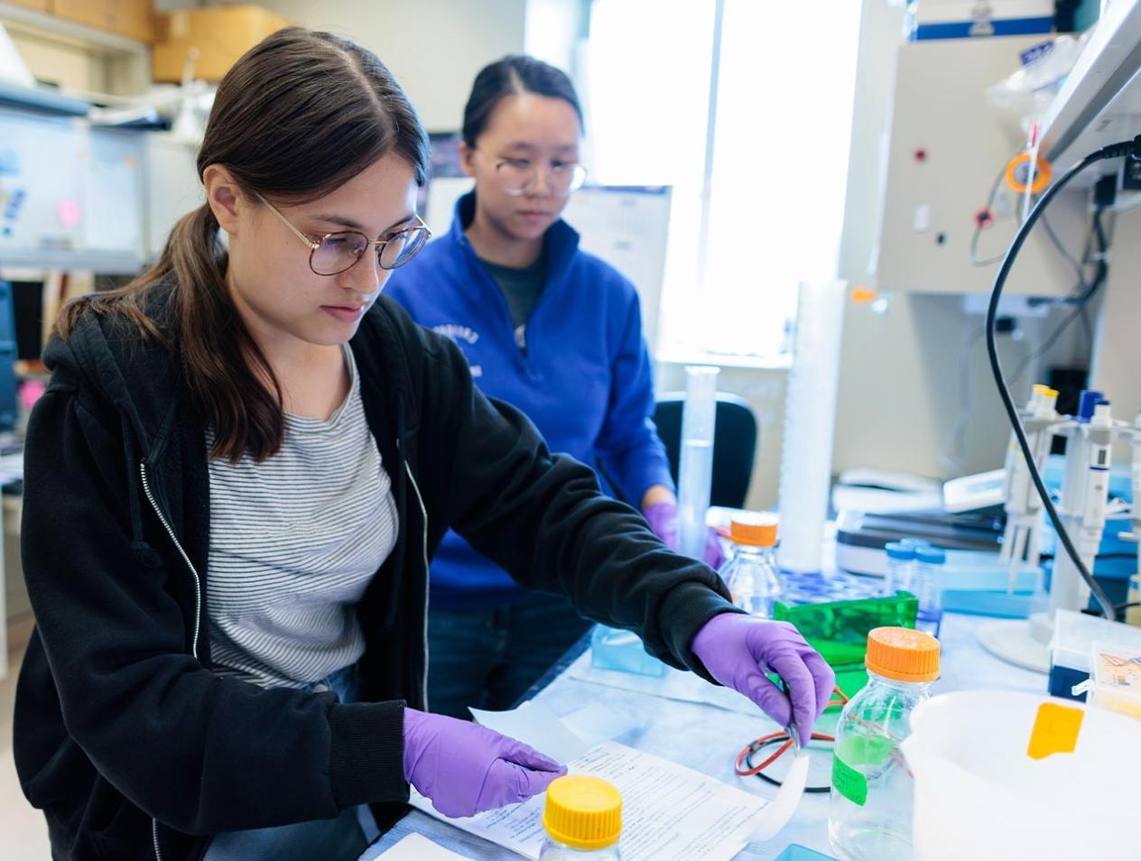 微生物学和免疫学研究实验室的两名女学生