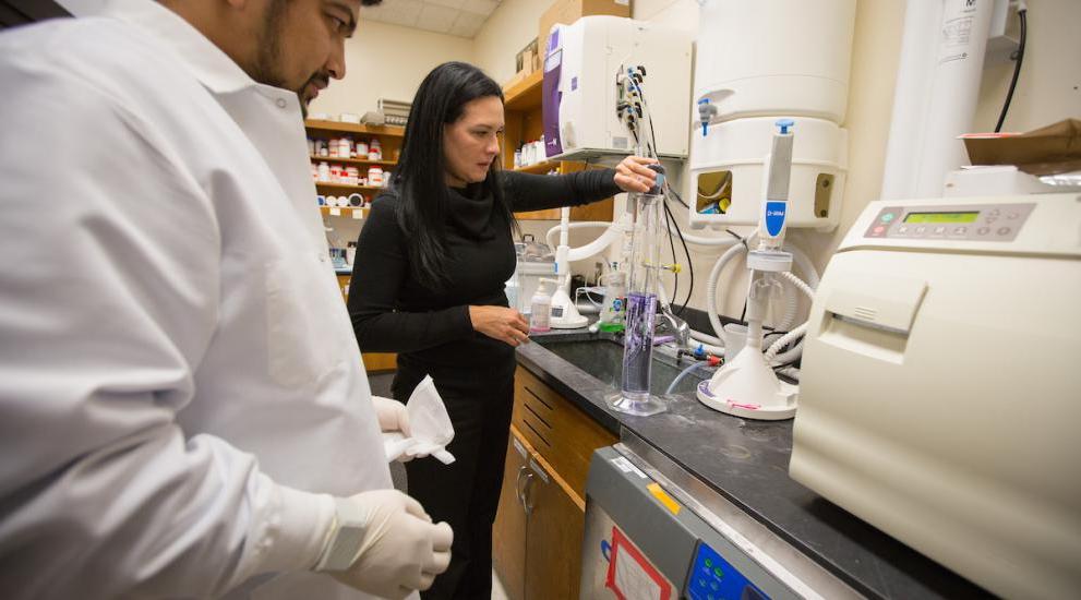 Dental faculty researching in lab environment